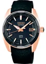 Seiko Astron SSJ012J1